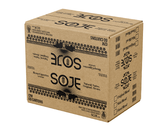master case of 60 cartons shipping box