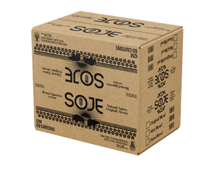 master case of 60 cartons shipping box